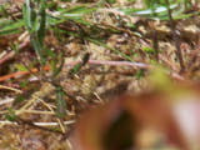 100_1587.jpg